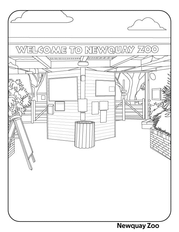 Newquay Colouring Book