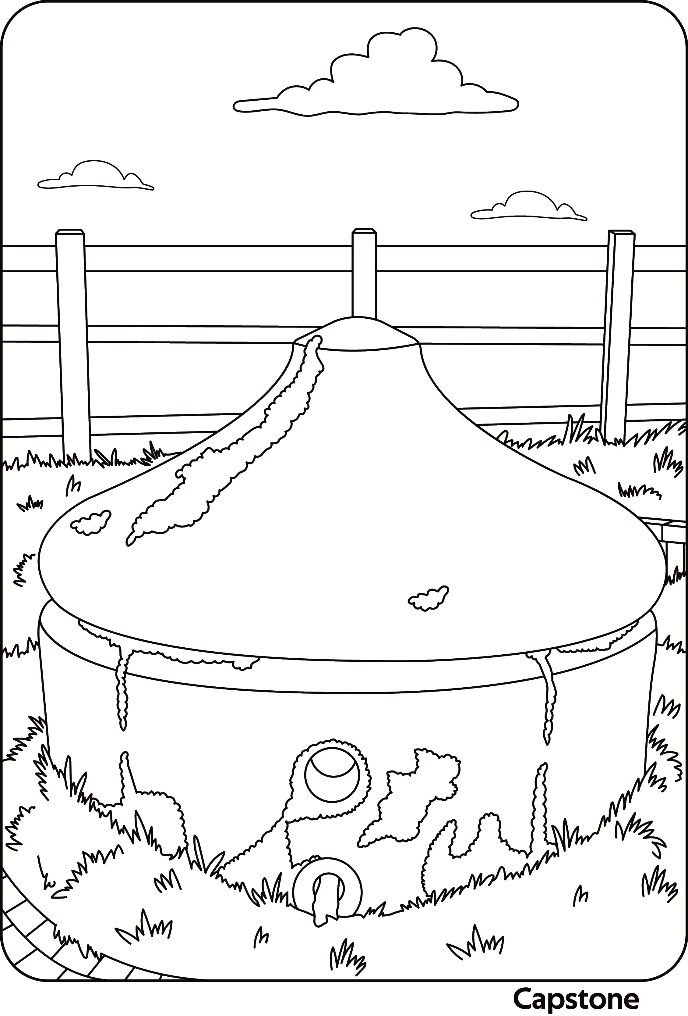 Stamford Colouring Book