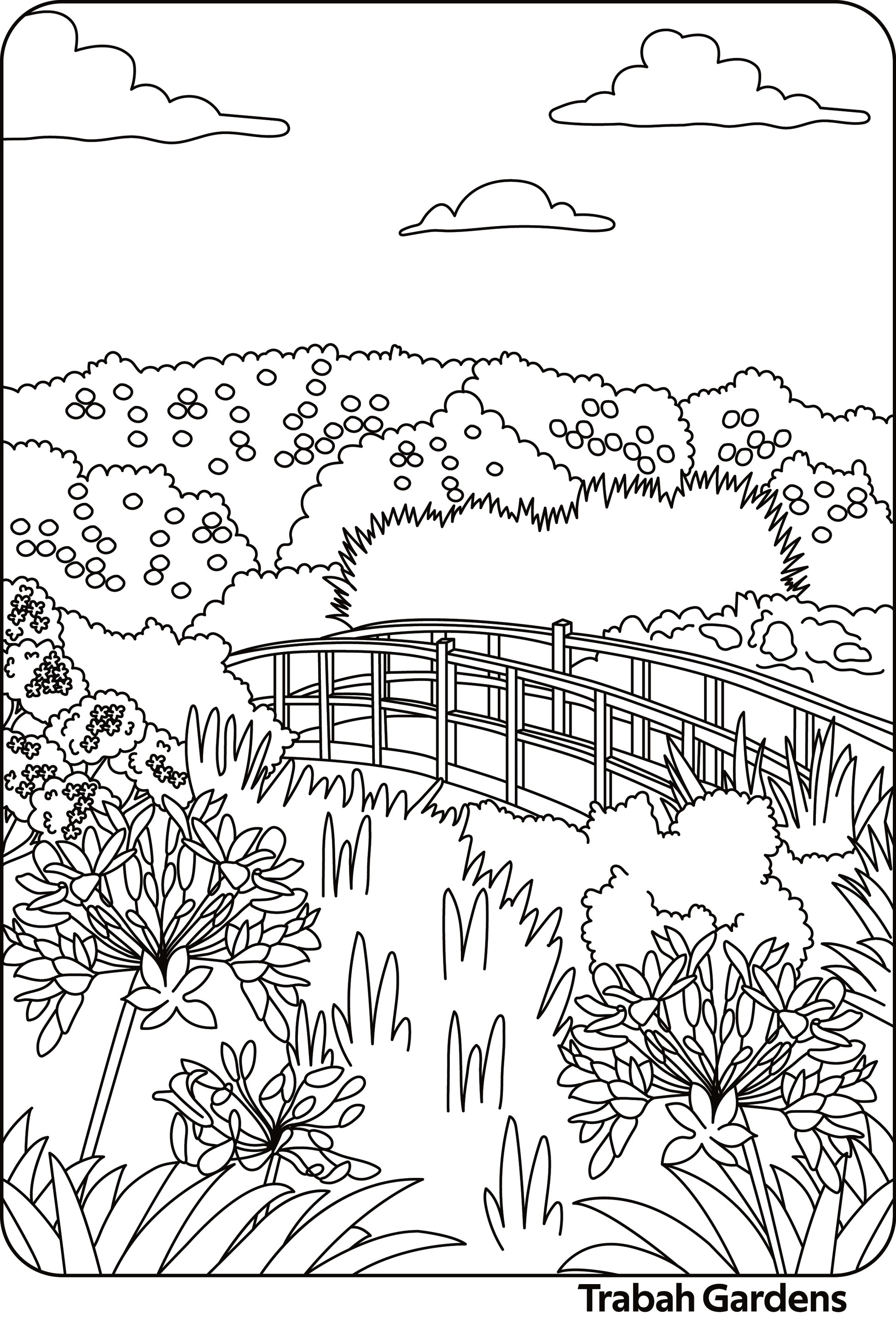 Falmouth Colouring Book