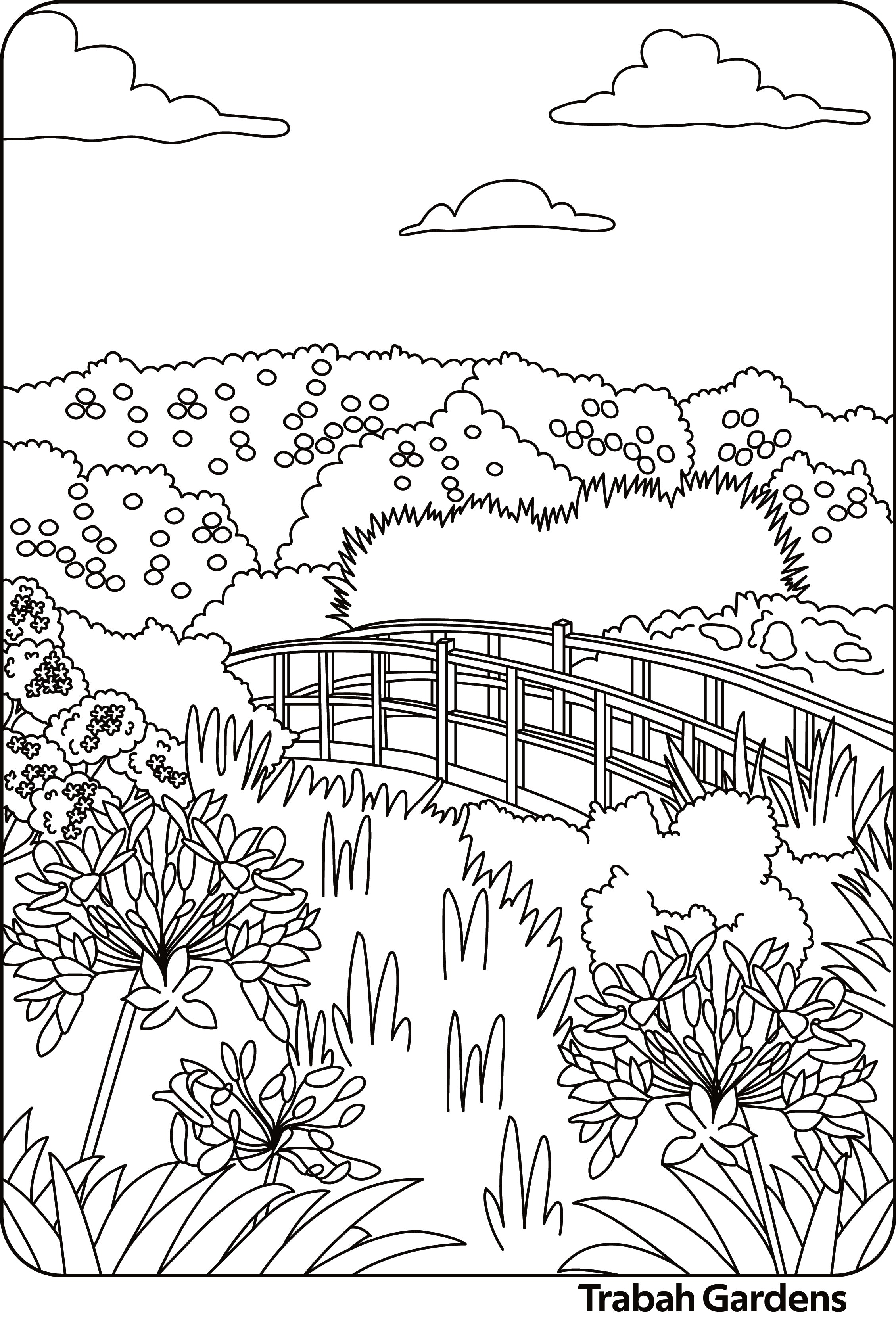 Falmouth Colouring Book